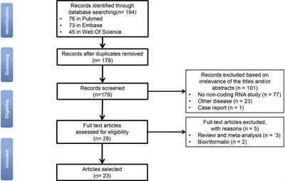 The role and mechanisms of miRNA in neonatal necrotizing enterocolitis